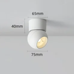 6.5 cm Dimmable Ceiling Lights Metal Artistic Style Classic Stylish Painted Finishes Contemporary Modern 110-240 V