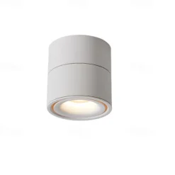 10 cm Flush Mount Ceiling Light LED Spotlight Metal Painted Finishes Modern 220-240V