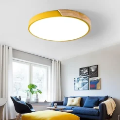 40 cm Geometric Shapes Flush Mount Lights Metal Painted Finishes LED Nordic Style 220-240V