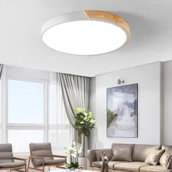 40 cm Geometric Shapes Flush Mount Lights Metal Painted Finishes LED Nordic Style 220-240V