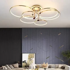 65 cm LED Pendant Light Circle Design Ceiling Light Lantern Desgin Flush Mount Lights Metal Electroplated Modern 220-240V