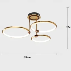 65 cm LED Pendant Light Circle Design Ceiling Light Lantern Desgin Flush Mount Lights Metal Electroplated Modern 220-240V