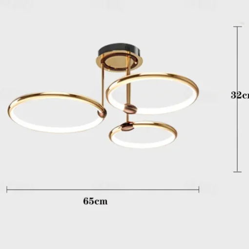 65 cm LED Pendant Light Circle Design Ceiling Light Lantern Desgin Flush Mount Lights Metal Electroplated Modern 220-240V