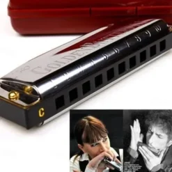 10 Holes Harmonica Diatonic Blues Harp Keys Mouth Organ for Blues Rock Country Folk Jazz