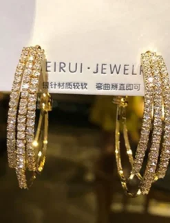 1 Pair Hoop Earrings For Women's Birthday Party Evening Gift Alloy Classic Fashion