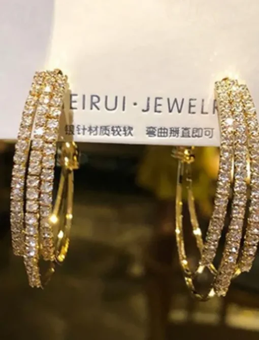 1 Pair Hoop Earrings For Women's Birthday Party Evening Gift Alloy Classic Fashion