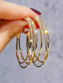 1 Pair Hoop Earrings For Women's Birthday Party Evening Gift Alloy Classic Fashion
