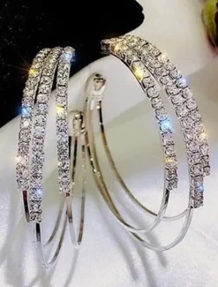 1 Pair Hoop Earrings For Women's Birthday Party Evening Gift Alloy Classic Fashion