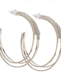 1 Pair Hoop Earrings For Women's Birthday Party Evening Gift Alloy Classic Fashion