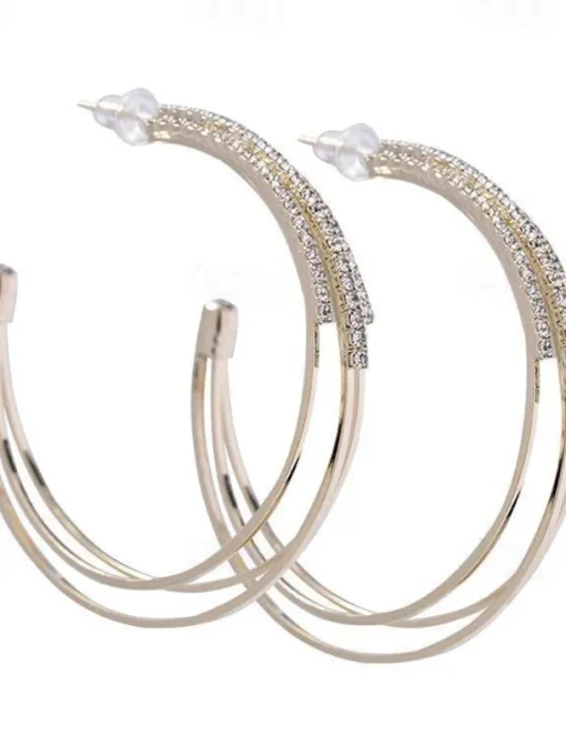 1 Pair Hoop Earrings For Women's Birthday Party Evening Gift Alloy Classic Fashion