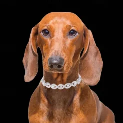 2 Pcs Necklace for Small Dog Pet Jewelry Dog Necklace Faux Pearl Dog Collar Beaded Dog Collar for Cat Puppy Kitten Chihuahua Yorkie Girl Costume Outfits Accessories