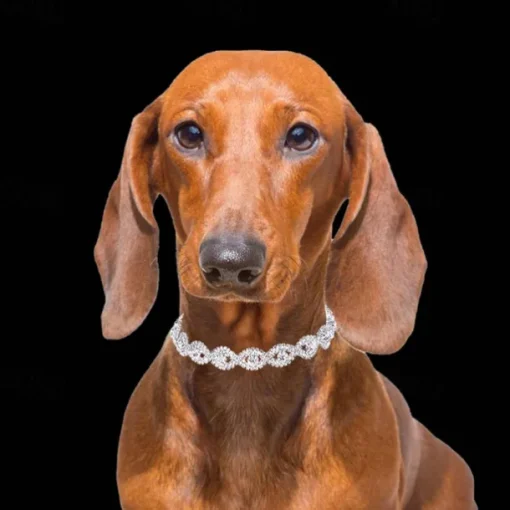 2 Pcs Necklace for Small Dog Pet Jewelry Dog Necklace Faux Pearl Dog Collar Beaded Dog Collar for Cat Puppy Kitten Chihuahua Yorkie Girl Costume Outfits Accessories