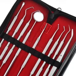 9 Pcs Set Stainless Steel Dental Cleaning Tools Oral Care Tools Dental Calculus Cleaning Dental Stains Tartar Care Tools