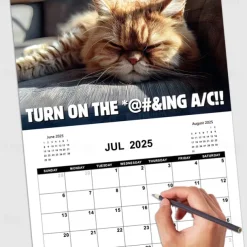 2025 Peed-Off Cats Calendar 2025 Calendar with Holidays Funny Cat Themed Gifts for Cat Lovers