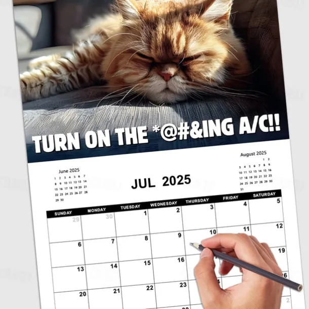 2025 Peed-Off Cats Calendar 2025 Calendar with Holidays Funny Cat Themed Gifts for Cat Lovers