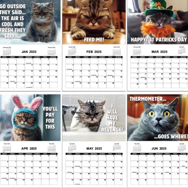 2025 Peed-Off Cats Calendar 2025 Calendar with Holidays Funny Cat Themed Gifts for Cat Lovers