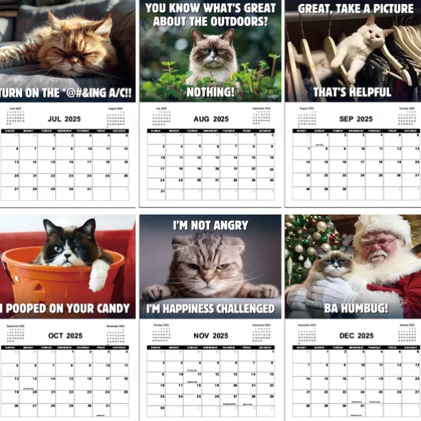 2025 Peed-Off Cats Calendar 2025 Calendar with Holidays Funny Cat Themed Gifts for Cat Lovers