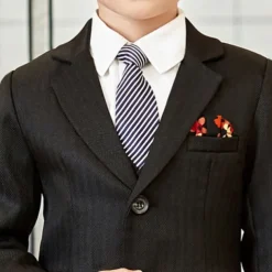 2 Pieces 4 Pieces Ring Bearer Suit Boys Kids Suit Formal Suit Suit & Blazer Clothing Set Formal Outdoor Fashion Formal Solid Color Stripe V Neck Black Gray Polyester