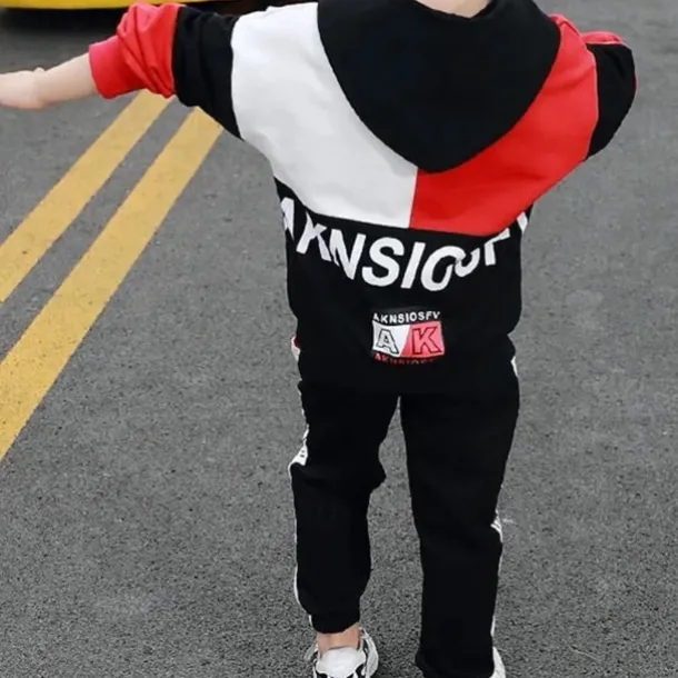 2 Pieces Kids Boys Hoodie & Pants Clothing Set Outfit Letter Long Sleeve Cotton Set Outdoor Fashion Daily Winter Fall 7-13 Years Blue Red