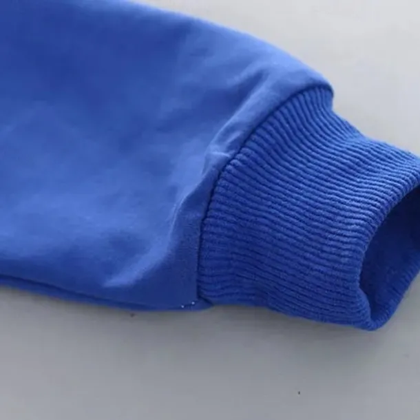 2 Pieces Kids Boys Hoodie & Pants Clothing Set Outfit Letter Long Sleeve Cotton Set Outdoor Fashion Daily Winter Fall 7-13 Years Blue Red