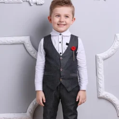 3 Pieces Ring Bearer Suit Boys Kids Suit Formal Suit Suit & Blazer Clothing Set School Formal Home Cool Gentle Plaid Print Black Wine Red Cotton