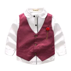 3 Pieces Ring Bearer Suit Boys Kids Suit Formal Suit Suit & Blazer Clothing Set School Formal Home Cool Gentle Plaid Print Black Wine Red Cotton