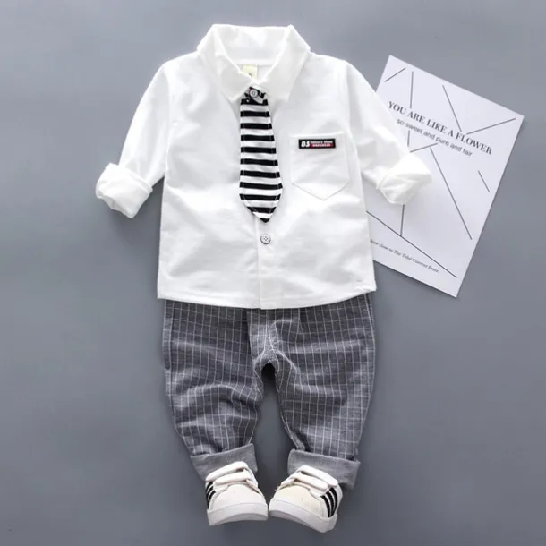 2 Pieces Ring Bearer Suit Boys Kids Shirt & Pants Clothing Set Outdoor Vacation Casual Fashion Casual Plaid Stripe White Gray Cotton