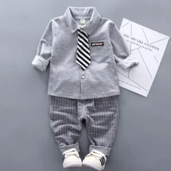 2 Pieces Ring Bearer Suit Boys Kids Shirt & Pants Clothing Set Outdoor Vacation Casual Fashion Casual Plaid Stripe White Gray Cotton