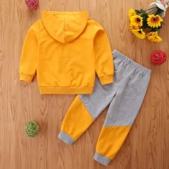 2 Pieces Toddler Boys Hoodie & Sweatpants Set Outfit Cartoon Long Sleeve Crewneck Set School Fashion Daily Fall 4-7 Years Yellow