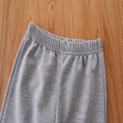 2 Pieces Toddler Boys Hoodie & Sweatpants Set Outfit Cartoon Long Sleeve Crewneck Set School Fashion Daily Fall 4-7 Years Yellow