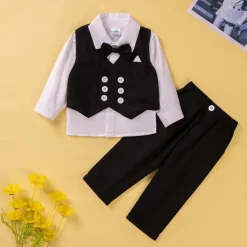 3 Pieces Toddler Boys Shirt & Pants Outfit Solid Color Long Sleeve Buttons Cotton Set School Fashion Daily Spring Fall 1-3 Years Black Royal Blue Sky Blue