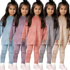 2 Pieces Toddler Girls' Solid Color Crewneck Hoodie & Sweatpants Set Set Long Sleeve Sports Outdoor 3-7 Years Fall Champagne Pink Blue