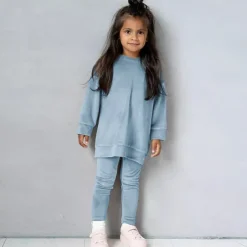 2 Pieces Toddler Girls' Solid Color Crewneck Hoodie & Sweatpants Set Set Long Sleeve Sports Outdoor 3-7 Years Fall Champagne Pink Blue