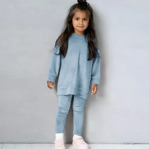 2 Pieces Toddler Girls' Solid Color Crewneck Hoodie & Sweatpants Set Set Long Sleeve Sports Outdoor 3-7 Years Fall Champagne Pink Blue