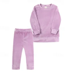 2 Pieces Toddler Girls' Solid Color Crewneck Hoodie & Sweatpants Set Set Long Sleeve Sports Outdoor 3-7 Years Fall Champagne Pink Blue