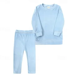 2 Pieces Toddler Girls' Solid Color Crewneck Hoodie & Sweatpants Set Set Long Sleeve Sports Outdoor 3-7 Years Fall Champagne Pink Blue