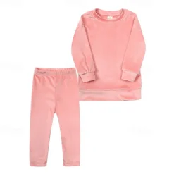 2 Pieces Toddler Girls' Solid Color Crewneck Hoodie & Sweatpants Set Set Long Sleeve Sports Outdoor 3-7 Years Fall Champagne Pink Blue