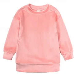 2 Pieces Toddler Girls' Solid Color Crewneck Hoodie & Sweatpants Set Set Long Sleeve Sports Outdoor 3-7 Years Fall Champagne Pink Blue