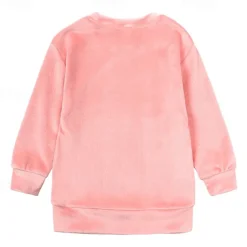 2 Pieces Toddler Girls' Solid Color Crewneck Hoodie & Sweatpants Set Set Long Sleeve Sports Outdoor 3-7 Years Fall Champagne Pink Blue