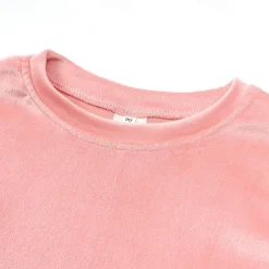 2 Pieces Toddler Girls' Solid Color Crewneck Hoodie & Sweatpants Set Set Long Sleeve Sports Outdoor 3-7 Years Fall Champagne Pink Blue
