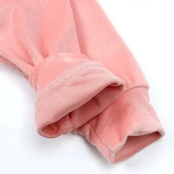 2 Pieces Toddler Girls' Solid Color Crewneck Hoodie & Sweatpants Set Set Long Sleeve Sports Outdoor 3-7 Years Fall Champagne Pink Blue