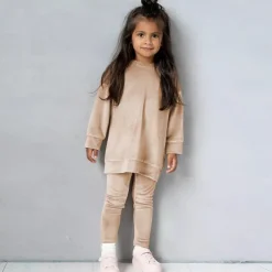 2 Pieces Toddler Girls' Solid Color Crewneck Hoodie & Sweatpants Set Set Long Sleeve Sports Outdoor 3-7 Years Fall Champagne Pink Blue