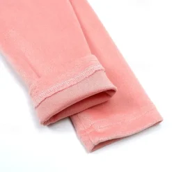 2 Pieces Toddler Girls' Solid Color Crewneck Hoodie & Sweatpants Set Set Long Sleeve Sports Outdoor 3-7 Years Fall Champagne Pink Blue