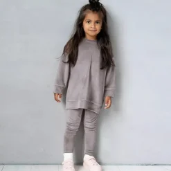 2 Pieces Toddler Girls' Solid Color Crewneck Hoodie & Sweatpants Set Set Long Sleeve Sports Outdoor 3-7 Years Fall Champagne Pink Blue