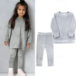 2 Pieces Toddler Girls' Solid Color Crewneck Hoodie & Sweatpants Set Set Long Sleeve Sports Outdoor 3-7 Years Fall Champagne Pink Blue