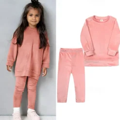 2 Pieces Toddler Girls' Solid Color Crewneck Hoodie & Sweatpants Set Set Long Sleeve Sports Outdoor 3-7 Years Fall Champagne Pink Blue