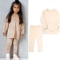 2 Pieces Toddler Girls' Solid Color Crewneck Hoodie & Sweatpants Set Set Long Sleeve Sports Outdoor 3-7 Years Fall Champagne Pink Blue