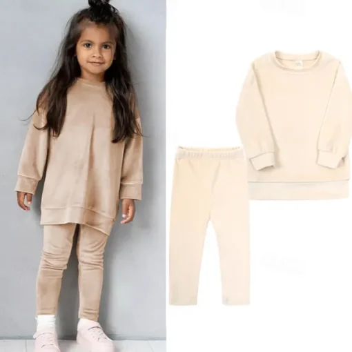 2 Pieces Toddler Girls' Solid Color Crewneck Hoodie & Sweatpants Set Set Long Sleeve Sports Outdoor 3-7 Years Fall Champagne Pink Blue