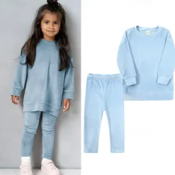 2 Pieces Toddler Girls' Solid Color Crewneck Hoodie & Sweatpants Set Set Long Sleeve Sports Outdoor 3-7 Years Fall Champagne Pink Blue