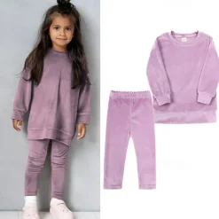 2 Pieces Toddler Girls' Solid Color Crewneck Hoodie & Sweatpants Set Set Long Sleeve Sports Outdoor 3-7 Years Fall Champagne Pink Blue